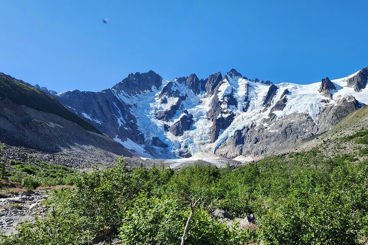 Les anmeldelser av Laughton Glacier Hike and White Pass Rail Adventure