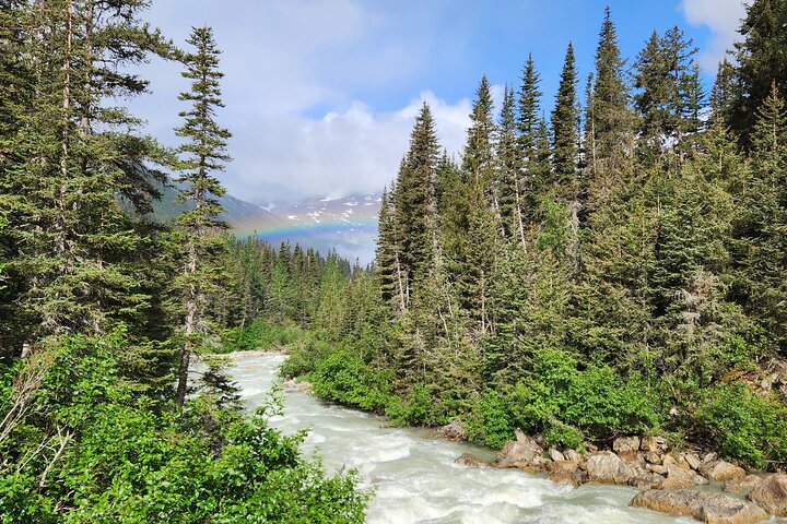 Les anmeldelser av Laughton Glacier Hike and White Pass Rail Adventure