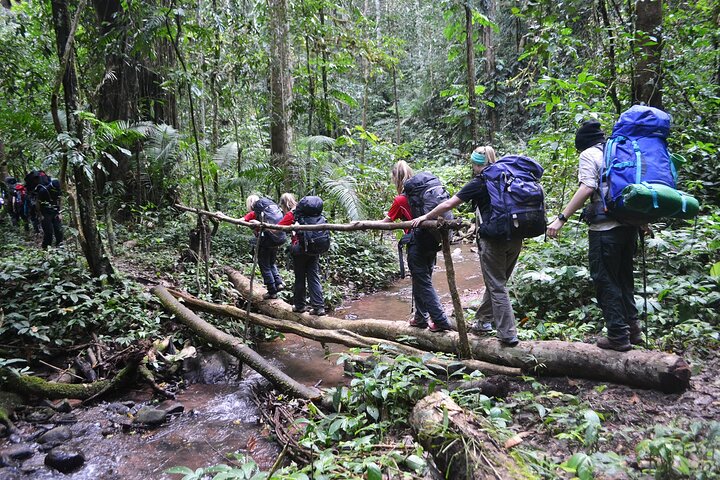 Bungalower och bambu spår: A 4 - Day Luang Namtha Cultural Retreat