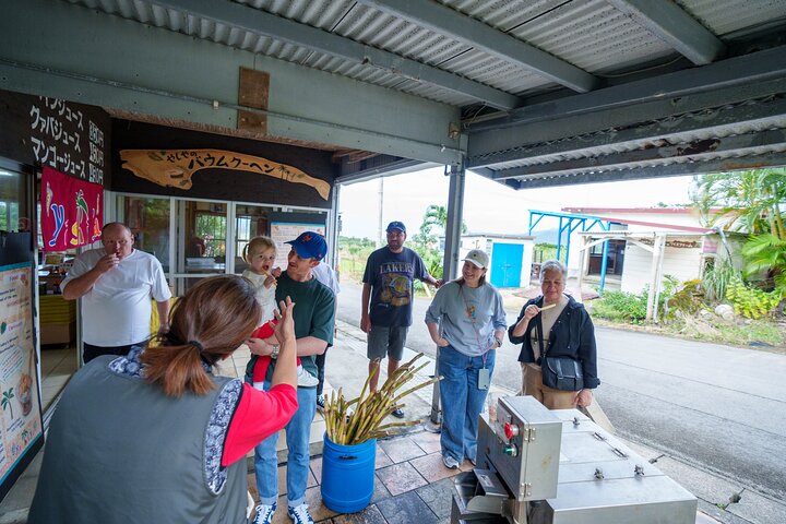 【Personnalisable】Ishigaki Private Tour - Jusqu'à 4 personnes, Forfait -