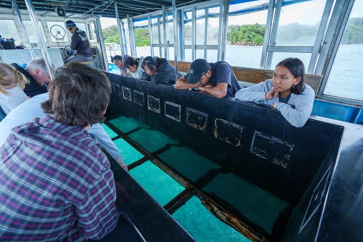 【Personnalisable】Ishigaki Private Tour - Jusqu'à 4 personnes, Forfait -
