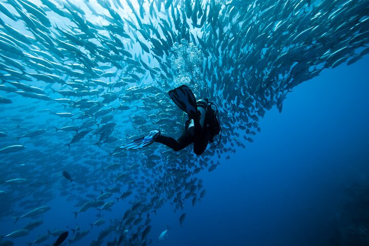 Dyk Coiba og bo på Bambuda Hotel Santa Catalina 4 dager