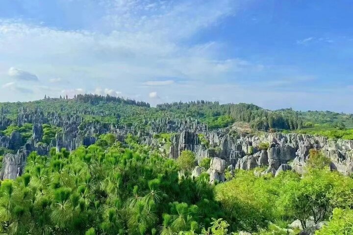 Stone Forest + Pato asado de Yiliang + Tour privado por la ciudad de Kunming
