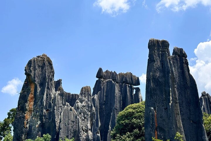 Stone Forest + Pato asado de Yiliang + Tour privado por la ciudad de Kunming