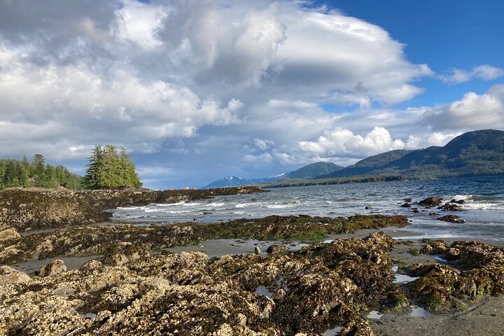 Ketchikan Wildlife Tours: ristoranti nelle vicinanze