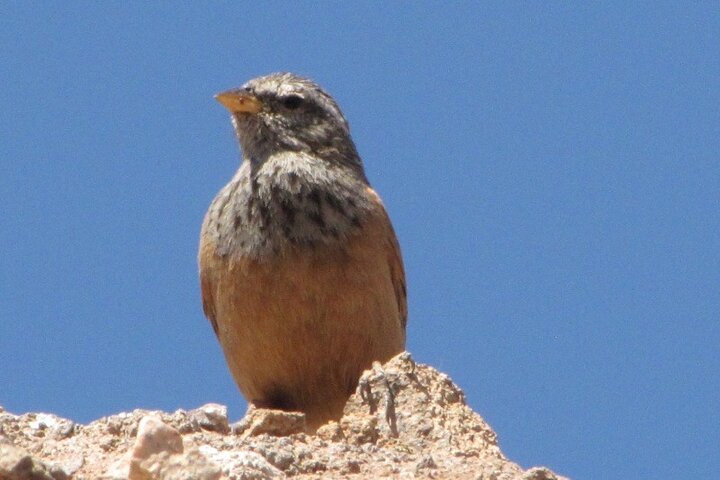 Senderismo por el Valle de las Rosas y el Dades, Marruecos