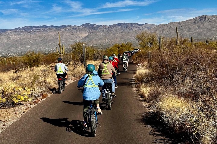 Tour in bici elettrica del Parco nazionale del Saguaro est