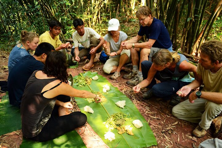 Experiência da selva: Excursão de 1 dia em Nam Ha NPA