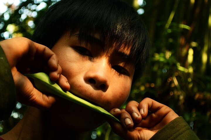 Experiência da selva: Excursão de 1 dia em Nam Ha NPA