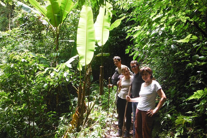 Experiência da selva: Excursão de 1 dia em Nam Ha NPA