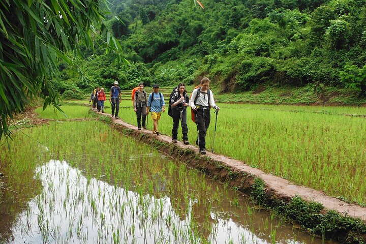 Nalan Trail og Khmu-stammen: 2 dagers tur i Nam Ha NPA