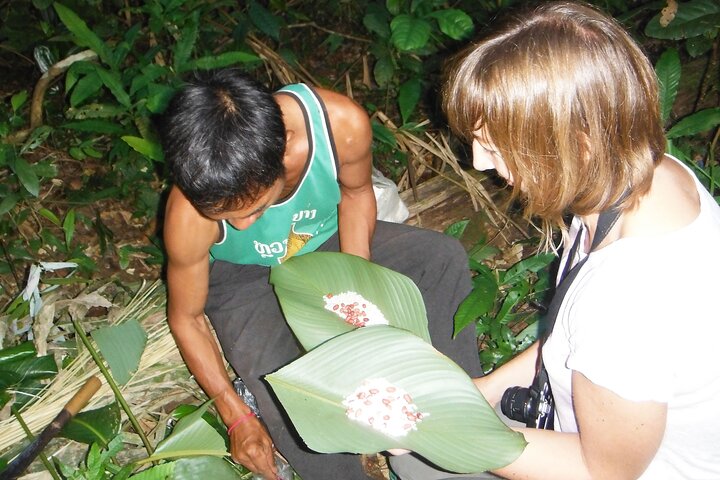 Nam Ha NPA 3 jours Wildlife Jungle Camp et Village Homestay Trek