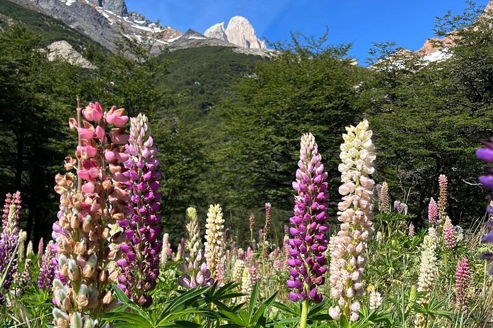 Alpine avontuur in Laguna Pollone en Electric Lake Valley