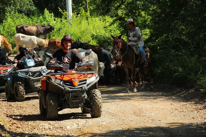 ATV Tour Rio Cuale Sierra Madre Montagne e degustazione di tequila