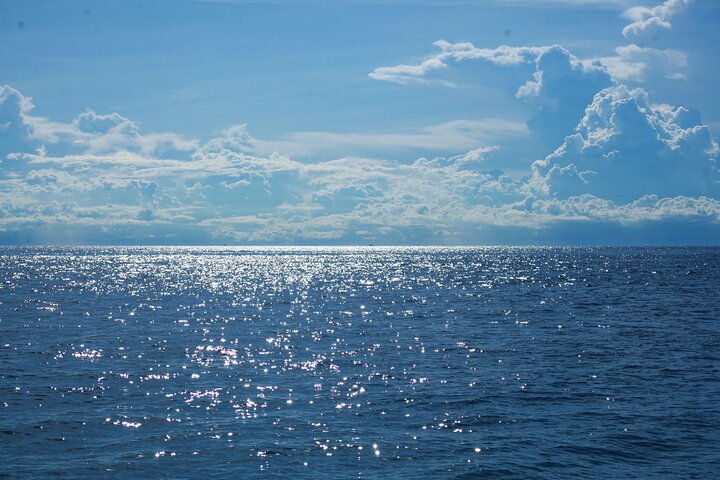No Rush Morning & Afternoon 5 Stopp snorkeltur til Koh Tao