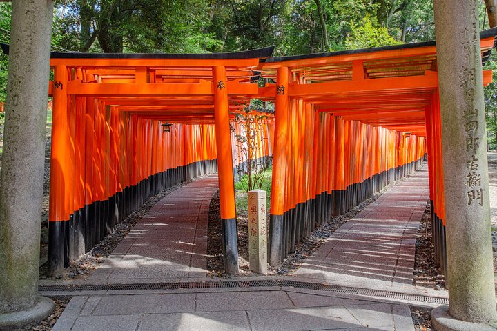 Från Kyoto / Osaka : Kyoto måste-se platser och Nara Park Endagstur
