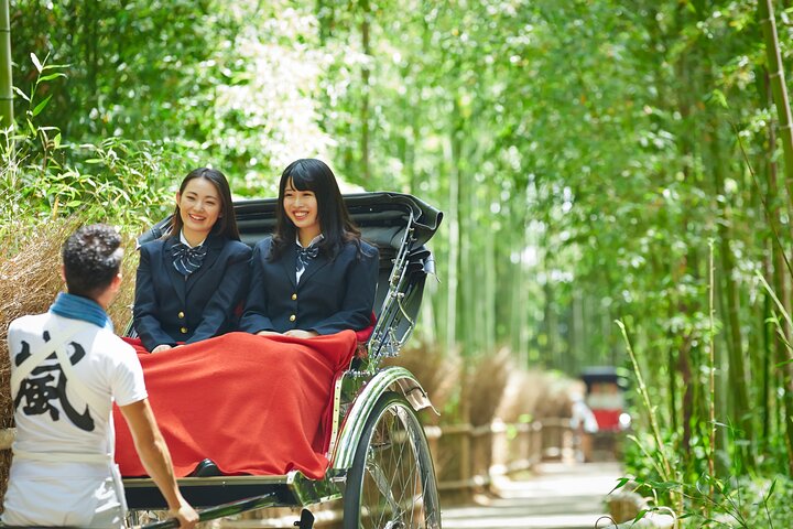 Från Kyoto / Osaka : Kyoto måste-se platser och Nara Park Endagstur