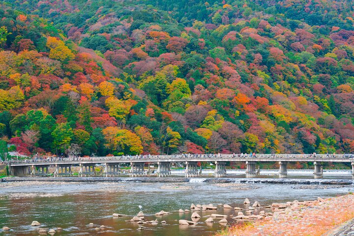 Från Kyoto / Osaka : Kyoto måste-se platser och Nara Park Endagstur