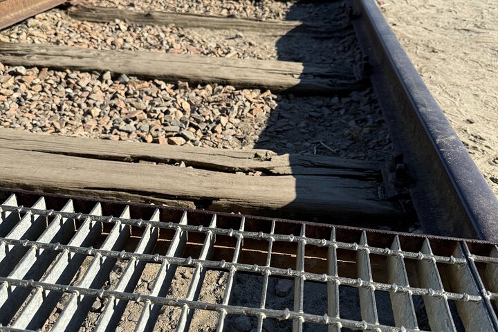 Auschwitz-Birkenau guidad tur med privat transport från Krakow