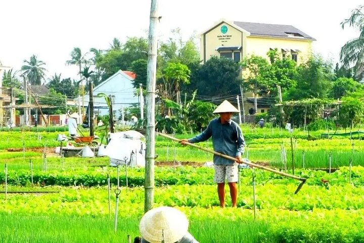HOI AN Gems in Rural Villages & River Islands Tour Privado