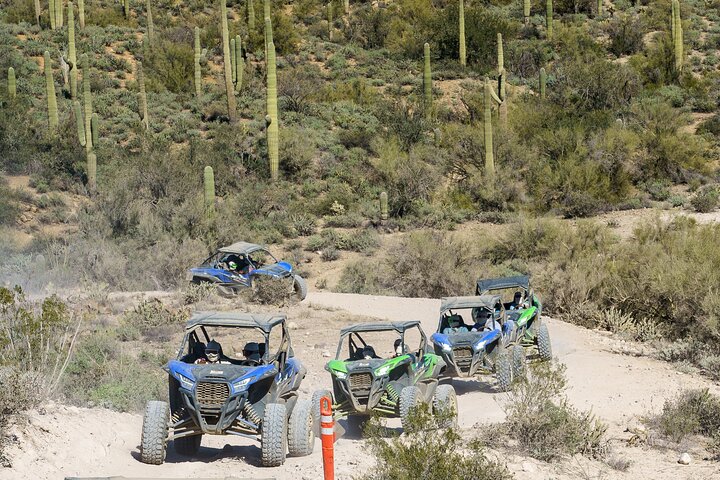 Forntida ruiner Tour - Guidad Arizona Desert Tour av UTV
