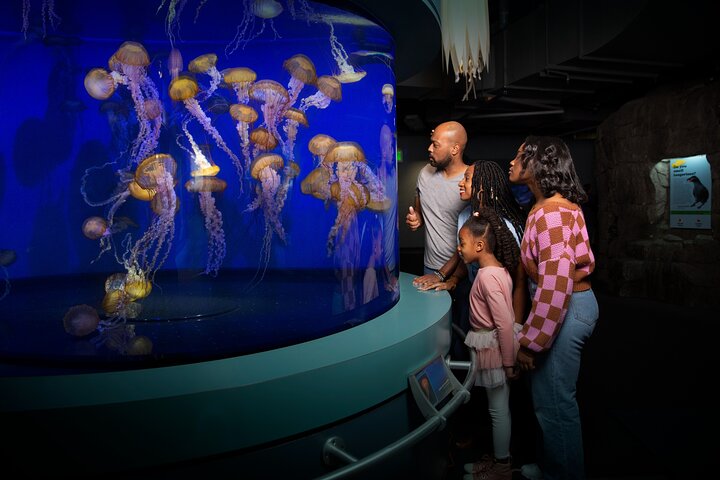 Salta la coda alla biglietteria : biglietto d'ingresso generale dell'Acquario del Pacifico
