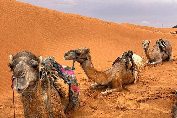 6 Days And 5 Nights Guided Tour From Tunis To Southern Tunisia