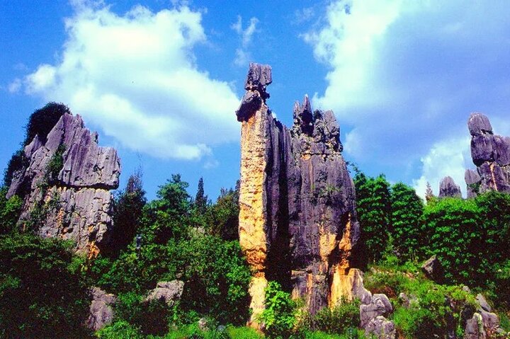 Stone Forest + Pato asado de Yiliang + Tour privado por la ciudad de Kunming