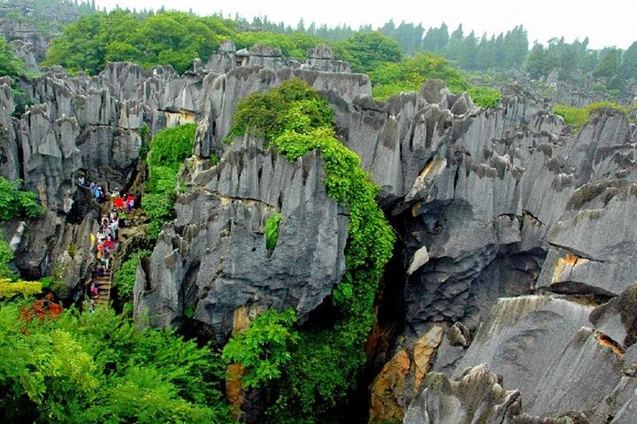 Stone Forest + Pato asado de Yiliang + Tour privado por la ciudad de Kunming
