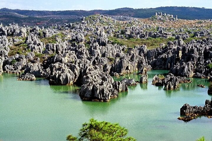 Stone Forest + Pato asado de Yiliang + Tour privado por la ciudad de Kunming
