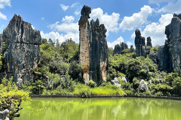 Stone Forest + Pato asado de Yiliang + Tour privado por la ciudad de Kunming