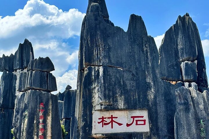 Stone Forest + Pato asado de Yiliang + Tour privado por la ciudad de Kunming