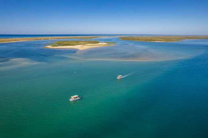 Ilha Deserta und Farol-Insel: Eine Bootsfahrt in kleiner Gruppe in der Ria Formosa ab Faro