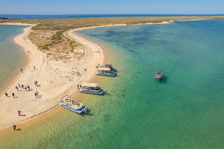 Ilha Deserta und Farol-Insel: Eine Bootsfahrt in kleiner Gruppe in der Ria Formosa ab Faro