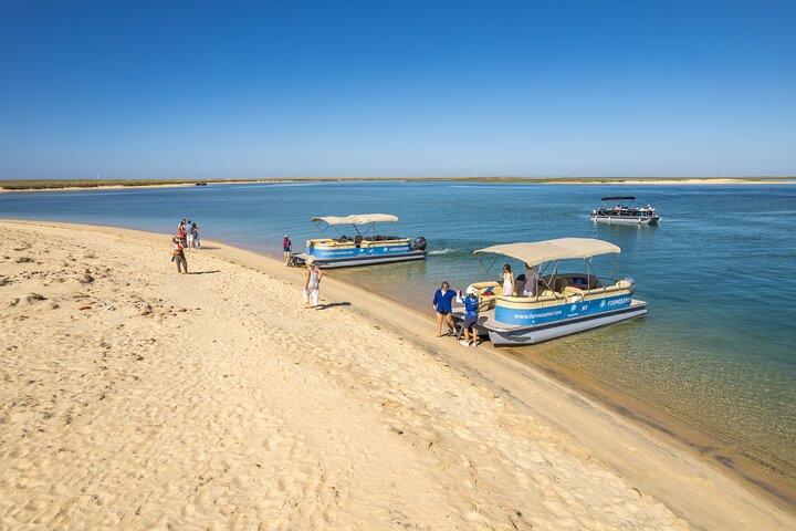 Ilha Deserta und Farol-Insel: Eine Bootsfahrt in kleiner Gruppe in der Ria Formosa ab Faro