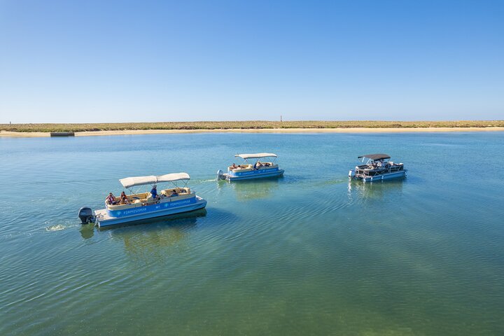 Ilha Deserta und Farol-Insel: Eine Bootsfahrt in kleiner Gruppe in der Ria Formosa ab Faro