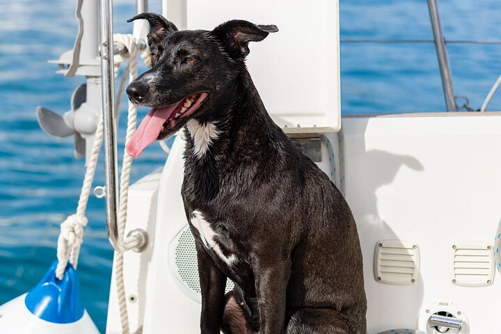 Private Segelyacht rund um die Bucht von Palma und die nahegelegenen Buchten