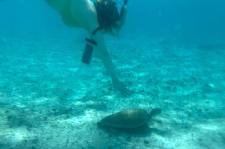 Aventura de snorkel en scooter marino en las Bahamas