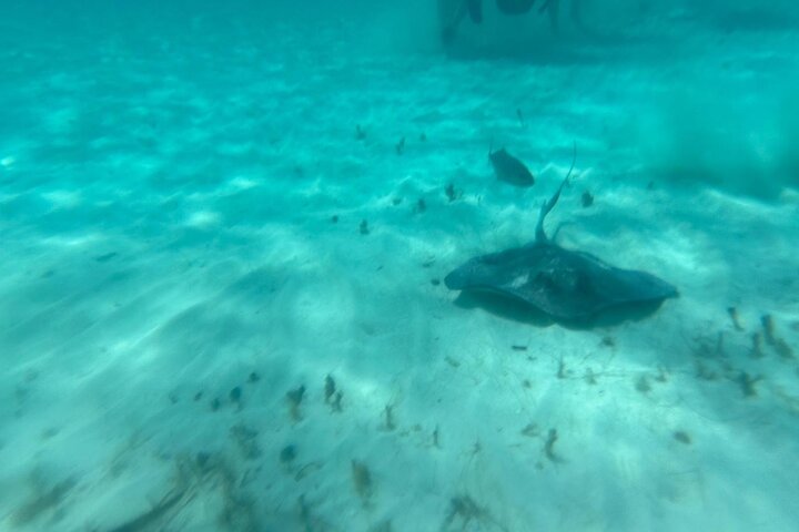 Aventura de snorkel en scooter marino en las Bahamas