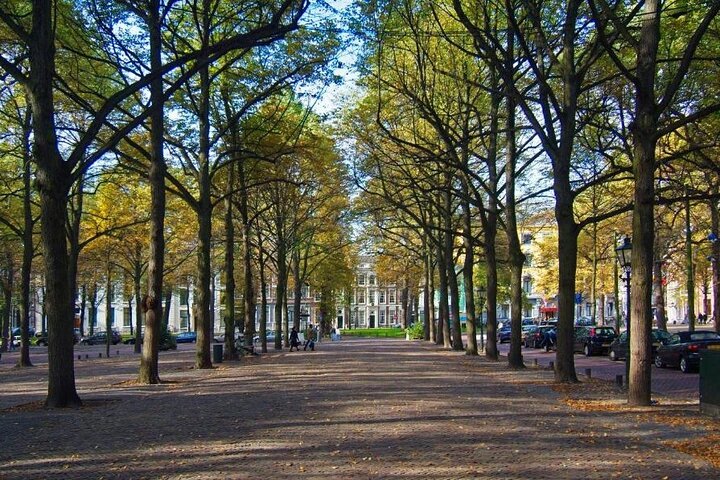 Leiden og Haag: Pilegrimer, Rembrandt og kongelig historie