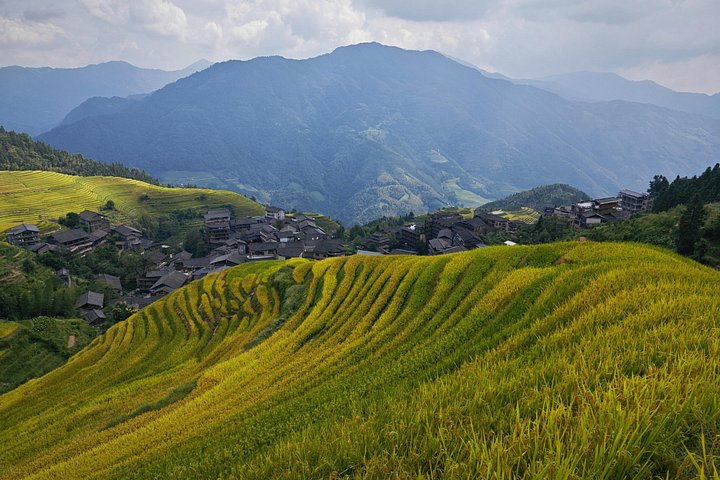 Excursion d'une journée en rizières en terrasses Longji Dazhai avec téléphérique