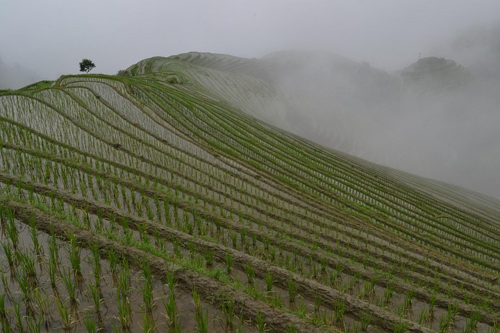 Excursion d'une journée en rizières en terrasses Longji Dazhai avec téléphérique