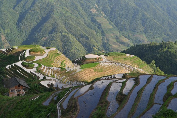 Excursion d'une journée en rizières en terrasses Longji Dazhai avec téléphérique