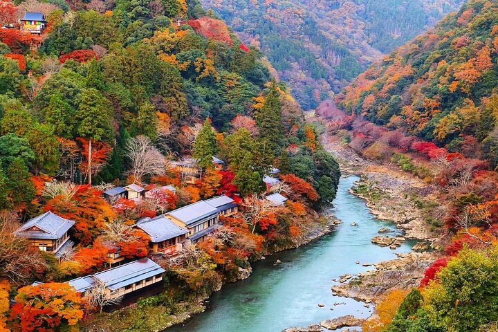 Från Kyoto / Osaka : Kyoto måste-se platser och Nara Park Endagstur