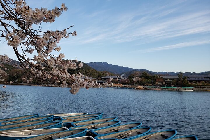 Från Kyoto / Osaka : Kyoto måste-se platser och Nara Park Endagstur