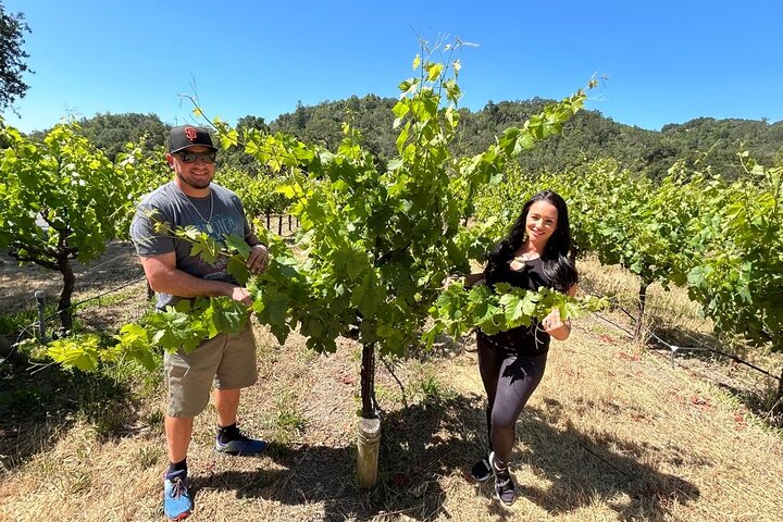 Sonoma Wine Country Electric Trike & Wine Tour - 3 horas