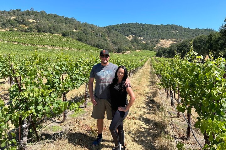 Sonoma Wine Country Electric Trike & Wine Tour - 3 horas