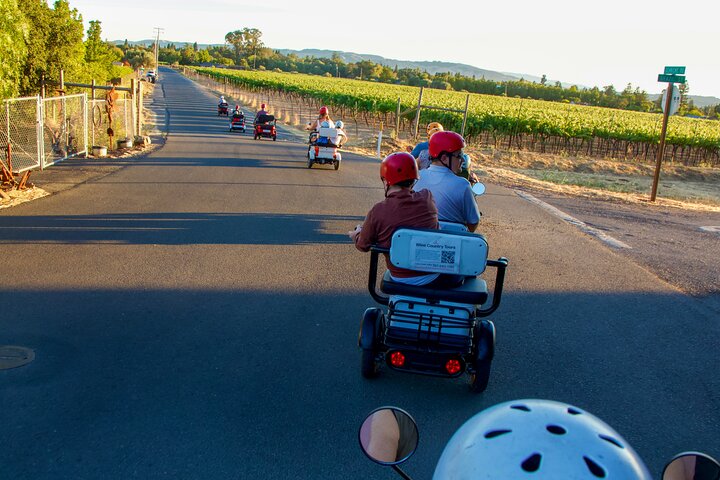 Sonoma Wine Country Electric Trike & Wine Tour - 3 horas
