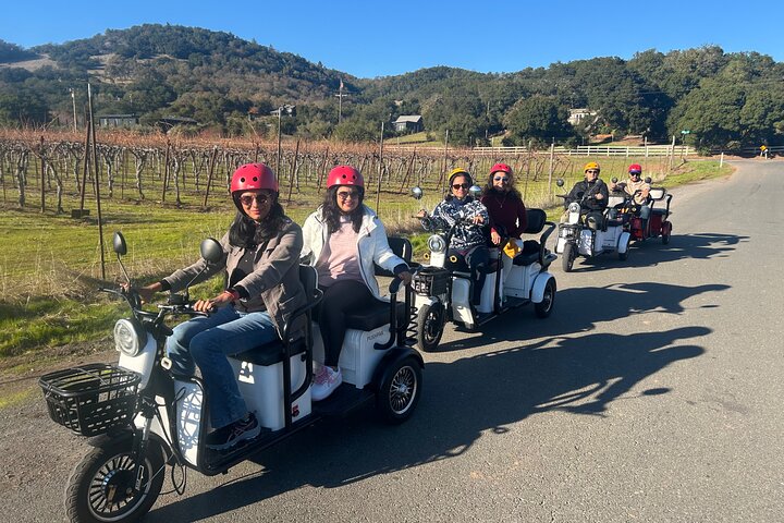 Sonoma Wine Country Electric Trike & Wine Tour - 3 horas