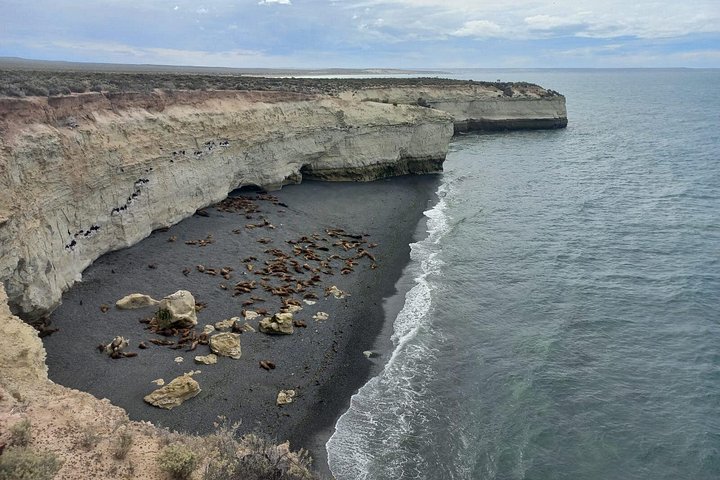 Escursione Circuito Sud - Il meglio di Puerto Madryn per le CROCIERE